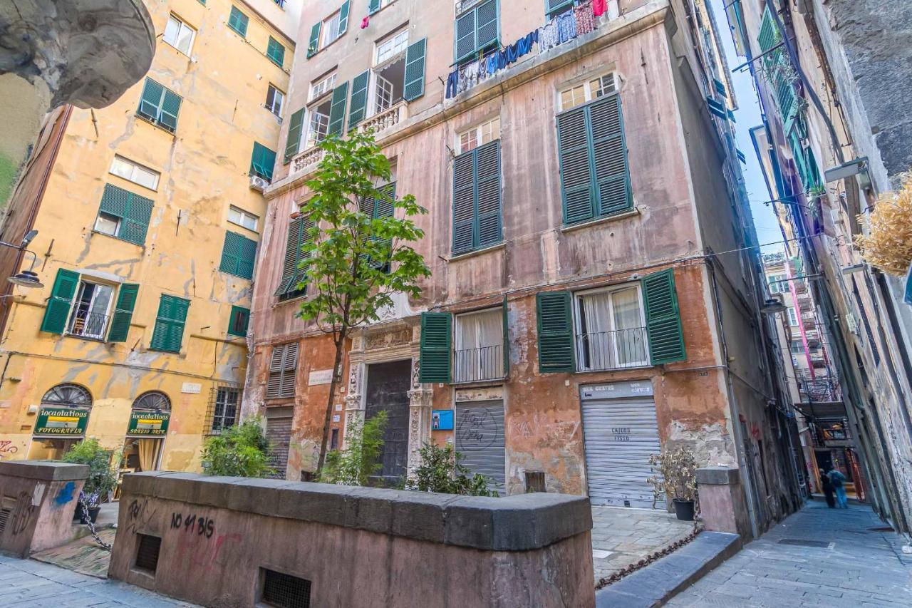 Grillo Cattaneo Genua
